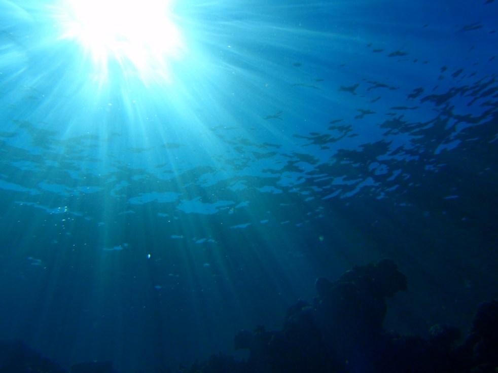 Deep Dive Fiji Sunshine by Erin Khoo on Flickr